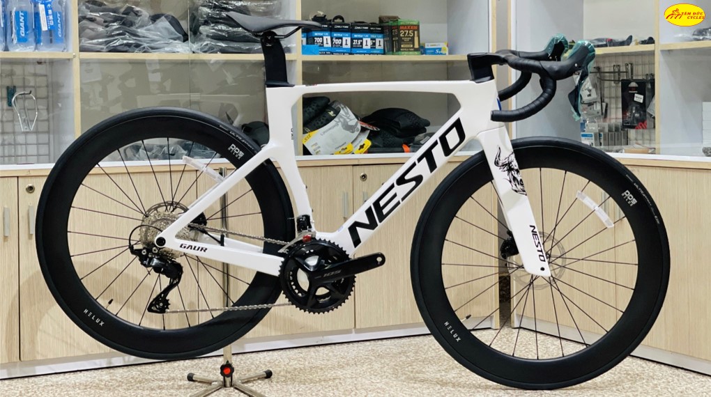 XE ĐẠP ĐUA CARBON NESTO GAUR